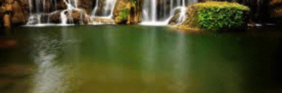 spot_img